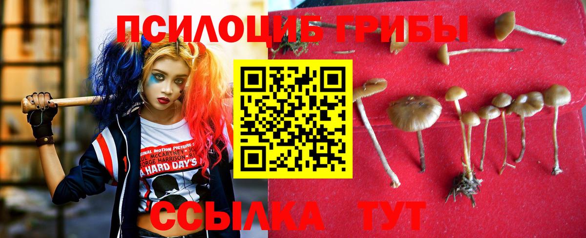 Псилоцибиновые грибы MAGIC MUSHROOMS Надым